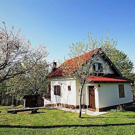 Holiday Home Coprnicka Hisa Skrad Esterno foto