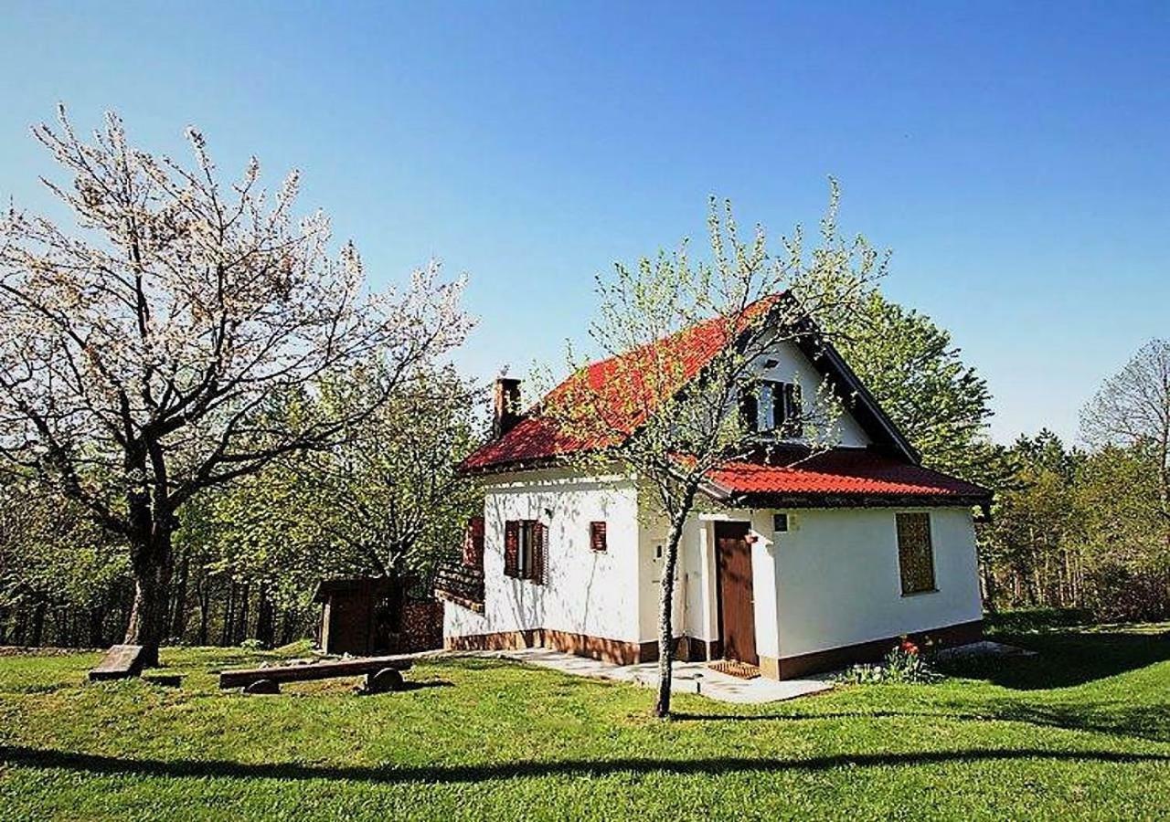 Holiday Home Coprnicka Hisa Skrad Esterno foto
