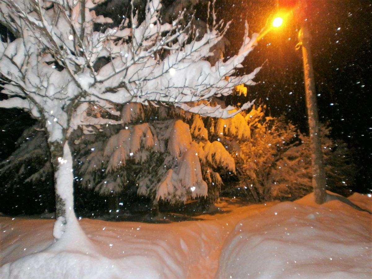 Holiday Home Coprnicka Hisa Skrad Esterno foto