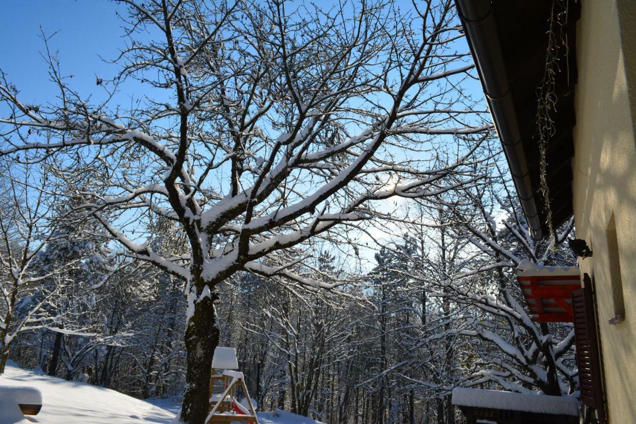 Holiday Home Coprnicka Hisa Skrad Esterno foto